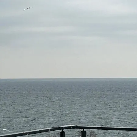 Tasliman 3* 얄로바